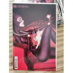 DC CatWoman Volume 5 #40 of Present (Cover B Jenny Frison Card Stock Variant, Comicare) DC CatWoman Volume 5 #40 of Present (Cover B Jenny Frison Card Stock Variant, Comicare)