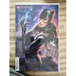 DC CatWoman Volume 5 #21 of Present (Cover Ian MacDonald Variant, Comicare) DC CatWoman Volume 5 #21 of Present (Cover Ian MacDonald Variant, Comicare)