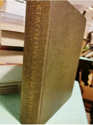 Reader