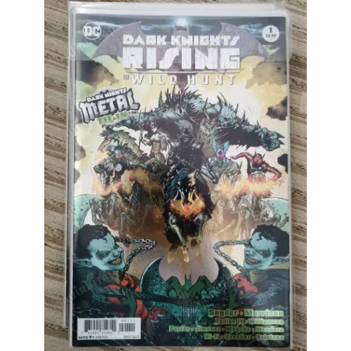 DC Dark Knights Rising: The Wild Hunt 1 (Dark Nights: Metal Comicare)
