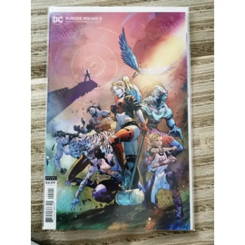 DC Suicide Squad Vol 6 2 of 11 (Cover Ryan Benjamin Card Stock Variant , Comicare)