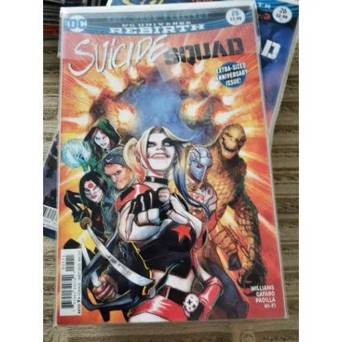 DC DC UNIVERSE Rebirth Suicide Squad Vol 5 25 of 50 (Cover Juan Ferreyra , Comicare)