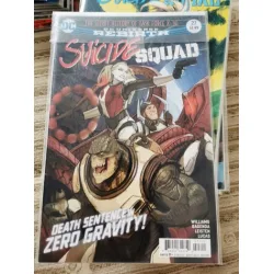 DC DC UNIVERSE Rebirth Suicide Squad Vol 5 27 of 50 (Cover Regular , Comicare) DC DC UNIVERSE Rebirth Suicide Squad Vol 5 27 of 50 (Cover Regular , Comicare)