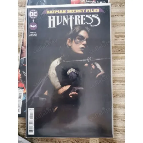 DC Batman Secret Files: Huntress (Cover Comicare )