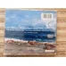 CD Celine Dion  A New Day Has Come Sony Music Türkiye / Kitapçık