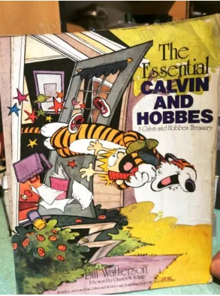 The Calvin and Hobbes The Essentional (A Calvin and Hobbes Treasury)