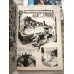 KORKU - Yetişkinler İçin Aylık Heyecan Dergisi / Vampir ve Aşk Cehennemin Dudakları BKZ