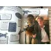 DK STAR WARS Force Awakens Ultimate Sticker Collection with more than 1000 Stickers (Yeni, Çıkartmalar Tam)