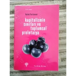 Kapitalizmin Sınırları ve Toplumsal Proletarya BKZ Kapitalizmin Sınırları ve Toplumsal Proletarya BKZ