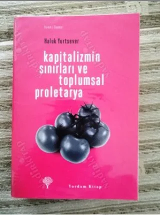 Kapitalizmin Sınırları ve Toplumsal Proletarya BKZ