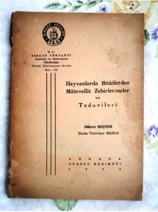 Hayvanlarda Bitkilerden Mütevvellit Zehirlenmeler ve Tedavileri