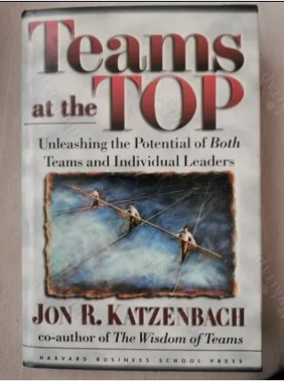 Teams at the Top - Unleashing the Potential of Both Teams and Individual Leaders HardCover