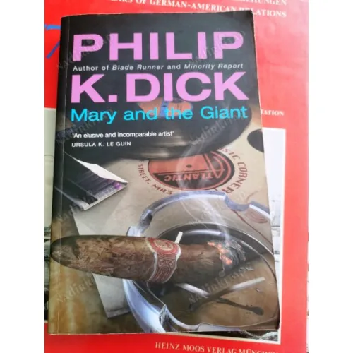 Mary and the Giant