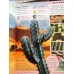 DK Nature Encyclopedia