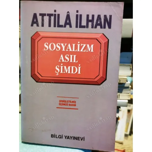 Sosyalizm, Asıl Şimdi (Genişletilmiş Üçüncü Basım 1995)