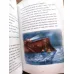 20000 Leagues Under the Sea 20000 Leagues Under the Sea
