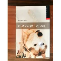 The Call Of the Wild Stage 3 The Call Of the Wild Stage 3