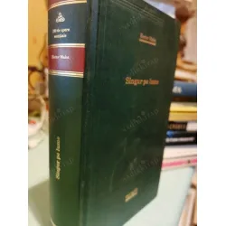 Singur Pe Lume (Sans Famille, Kimsesiz Çocuk, Ciltli, Romence)