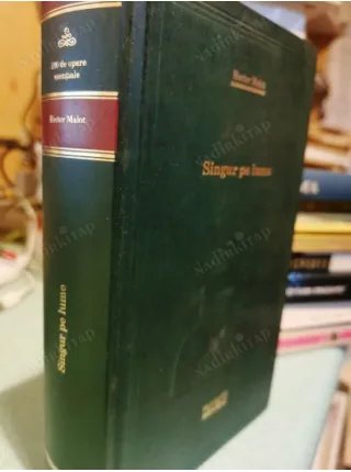 Singur Pe Lume (Sans Famille, Kimsesiz Çocuk, Ciltli, Romence)