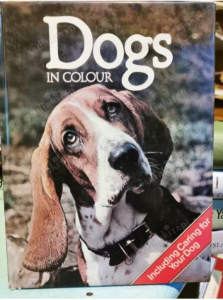 Dogs in Colour (Including Caring for your Dog, HardCover)