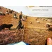 Dogs in Colour (Including Caring for your Dog, HardCover)