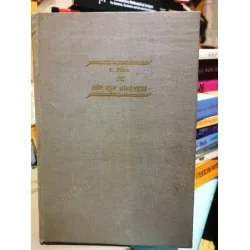 Bir Aşk Hikayesi (Ciltli, Altın Kalem, Klasik Romanlar)