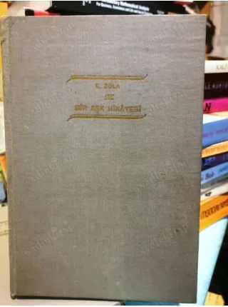 Bir Aşk Hikayesi (Ciltli, Altın Kalem, Klasik Romanlar)