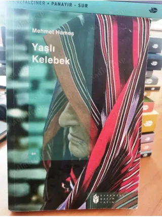 Yaşlı Kelebek