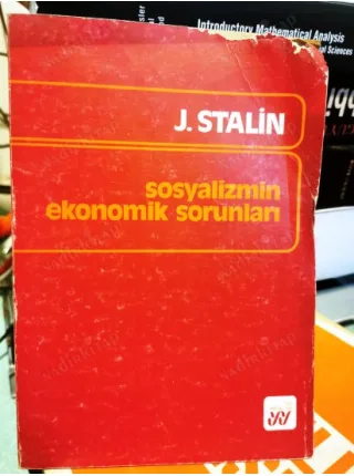 Sosyalizmin Ekonomik Sorunları