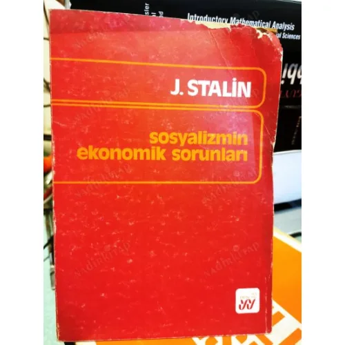 Sosyalizmin Ekonomik Sorunları