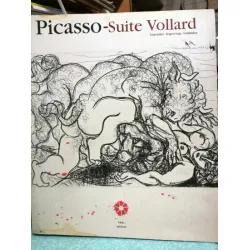 Picasso - Suite Vollard. Gravürler / Engravings / Grabados. Küratör: Pablo Jimenez Burillo