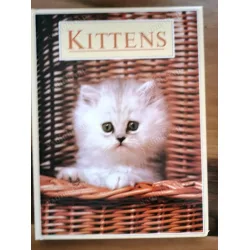 Kittens (HC Ciltli) Kittens (HC Ciltli)