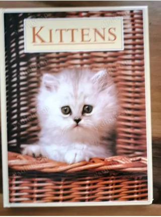 Kittens (HC Ciltli)