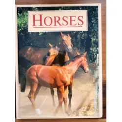 Horses (HC Ciltli) Horses (HC Ciltli)