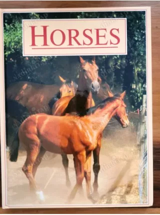 Horses (HC Ciltli)