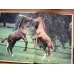 Horses (HC Ciltli)