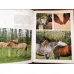 Horses (HC Ciltli)