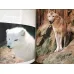 Zoo Animals (HC Ciltli)