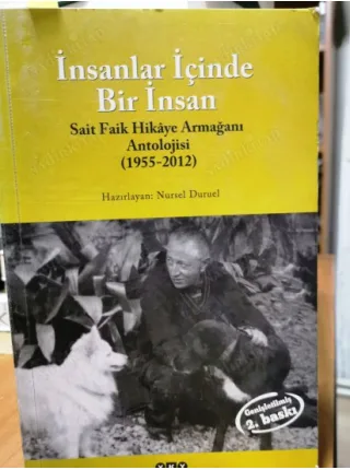 İnsanlar İçinde Bir İnsan / Sait Faik Hikâye Armağanı Antolojisi 1955 - 2012