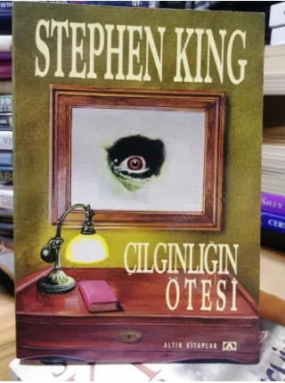Çılgınlığın Ötesi (Rose Madder , 1996 İlk Basım)