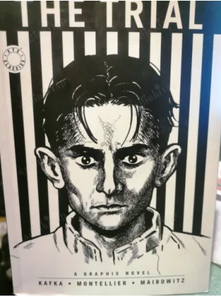 The Trial: A Graphic Novel