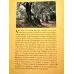 Saveurs et parfums de l
