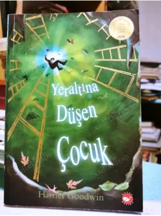 Yeraltına Düşen Çocuk (BedFordShire Yılın Çocuk Kitabı Ödülü 2010 )