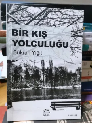 Bir Kış Yolculuğu