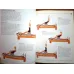 Pilates: Creating the Body You Want