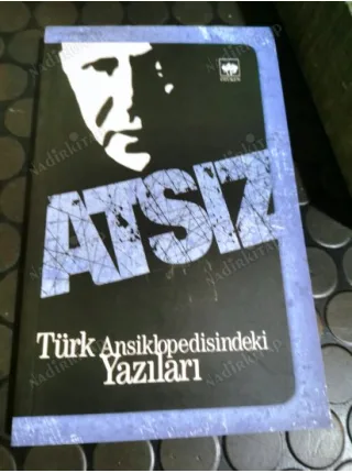 Türk Ansiklopedisindeki Yazıları