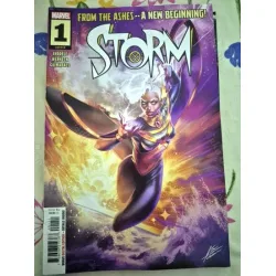 MARVEL Storm # 1 ( Cover Artist Mateus Manhanini Series Vol. 5 2024 - 2025 #12 ) MARVEL Storm # 1 ( Cover Artist Mateus Manhanini Series Vol. 5 2024 - 2025 #12 )
