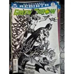 DC Green Arrow # 29 of 50 DC Universe Rebirth (Cover Variant) DC Green Arrow # 29 of 50 DC Universe Rebirth (Cover Variant)
