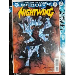 DC Nightwing # 13 of Present DC Universe Rebirth (Cover Variant Artist Ivan Reis, Comicare)