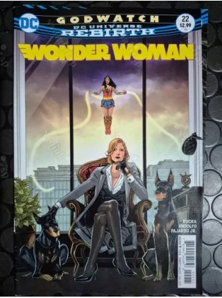 DC Wonder Woman # 22 DC Universe Rebirth (Cover Artist Bilquis Evely)